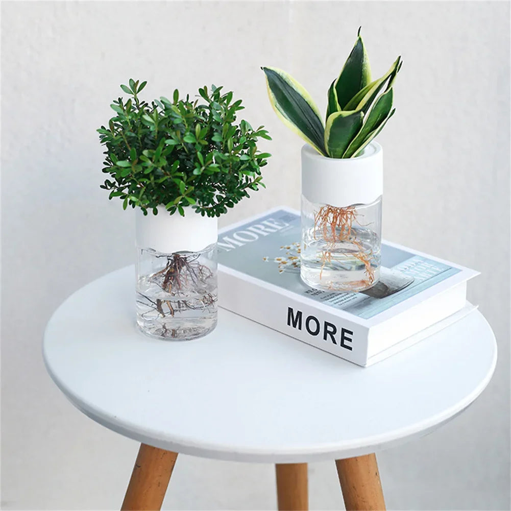 Chic Hydroponic Flower Pott