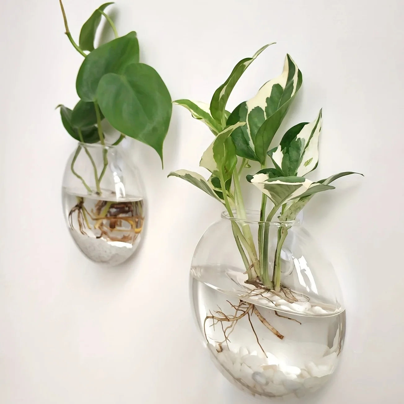 Elegant Wall Hanging Glass Terrarium™