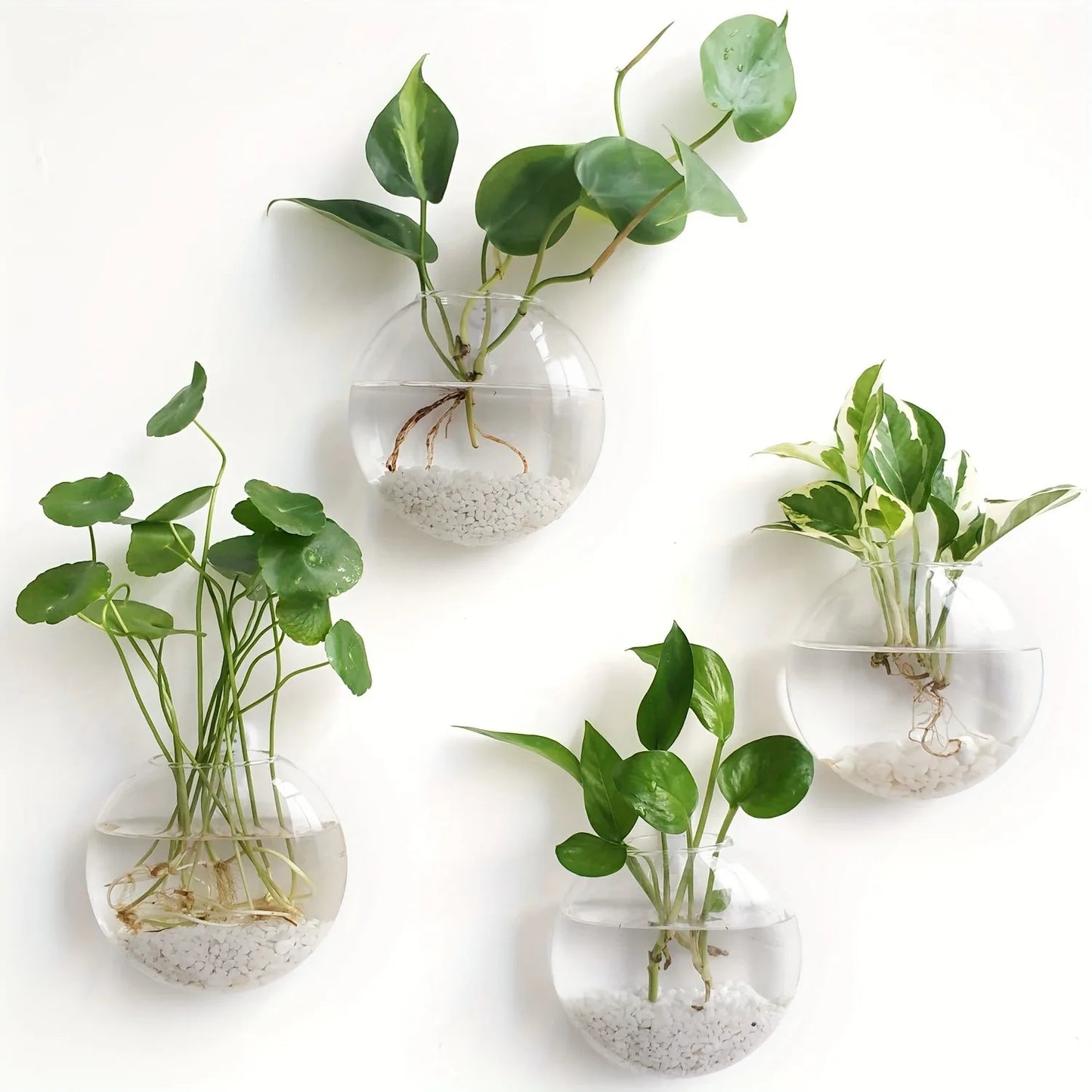 Elegant Wall Hanging Glass Terrarium™