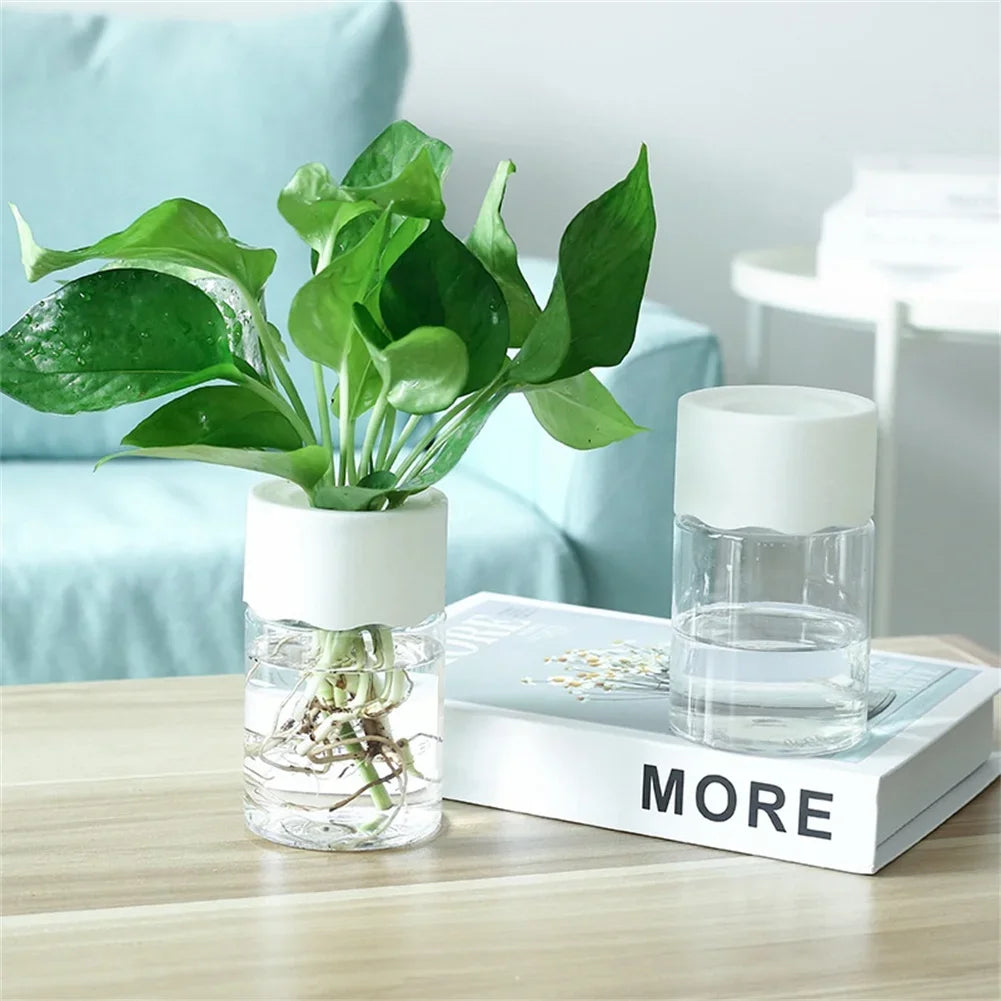 Chic Hydroponic Flower Pott
