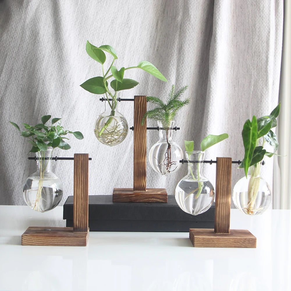 Premium Glass Hydroponic Planter™