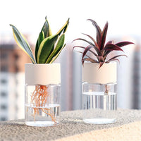 Chic Hydroponic Flower Pott