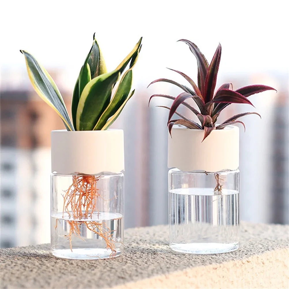 Chic Hydroponic Flower Pott
