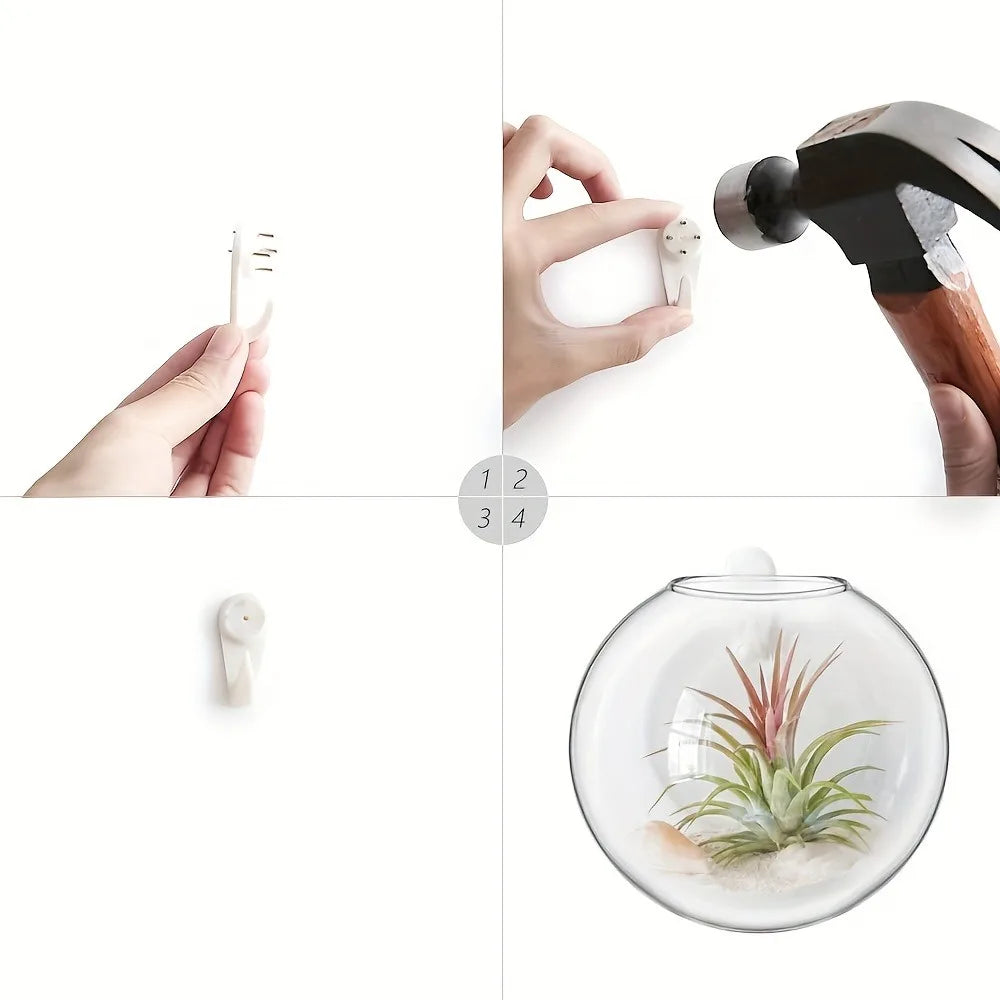 Elegant Wall Hanging Glass Terrarium™