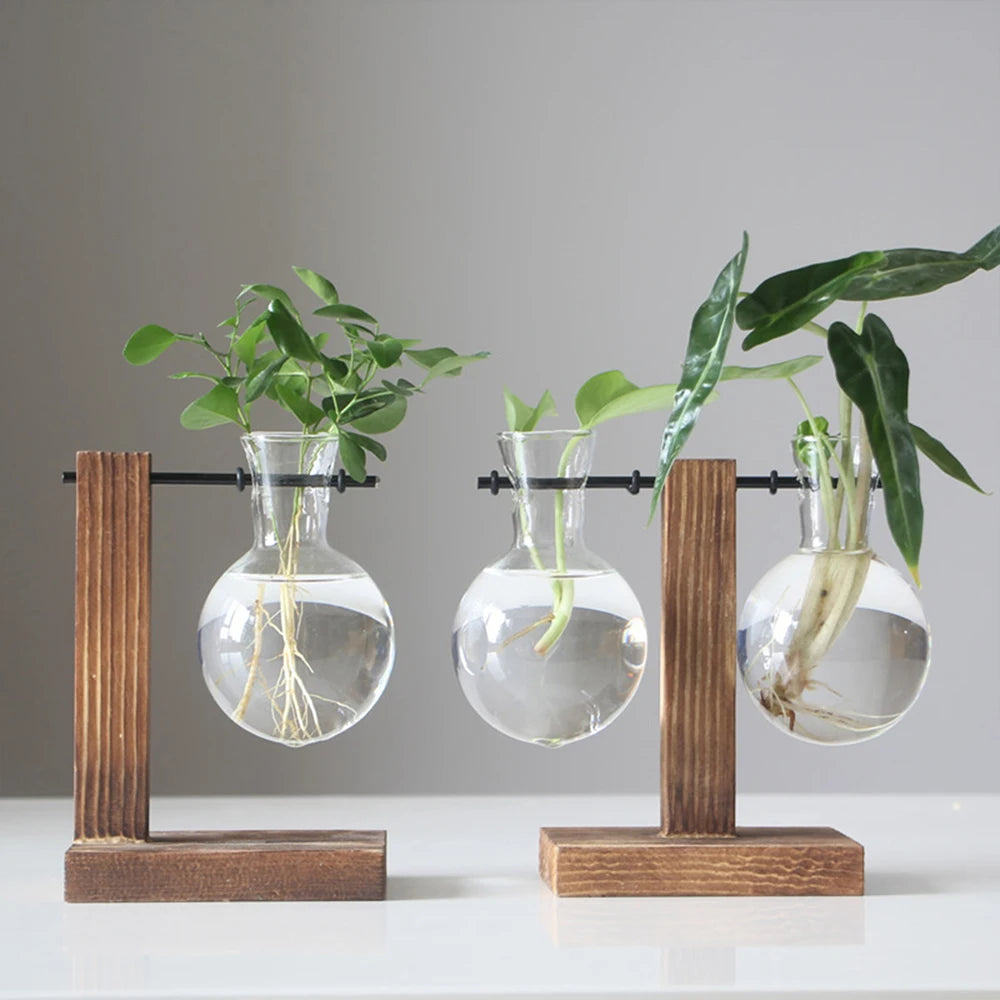 Premium Glass Hydroponic Planter™