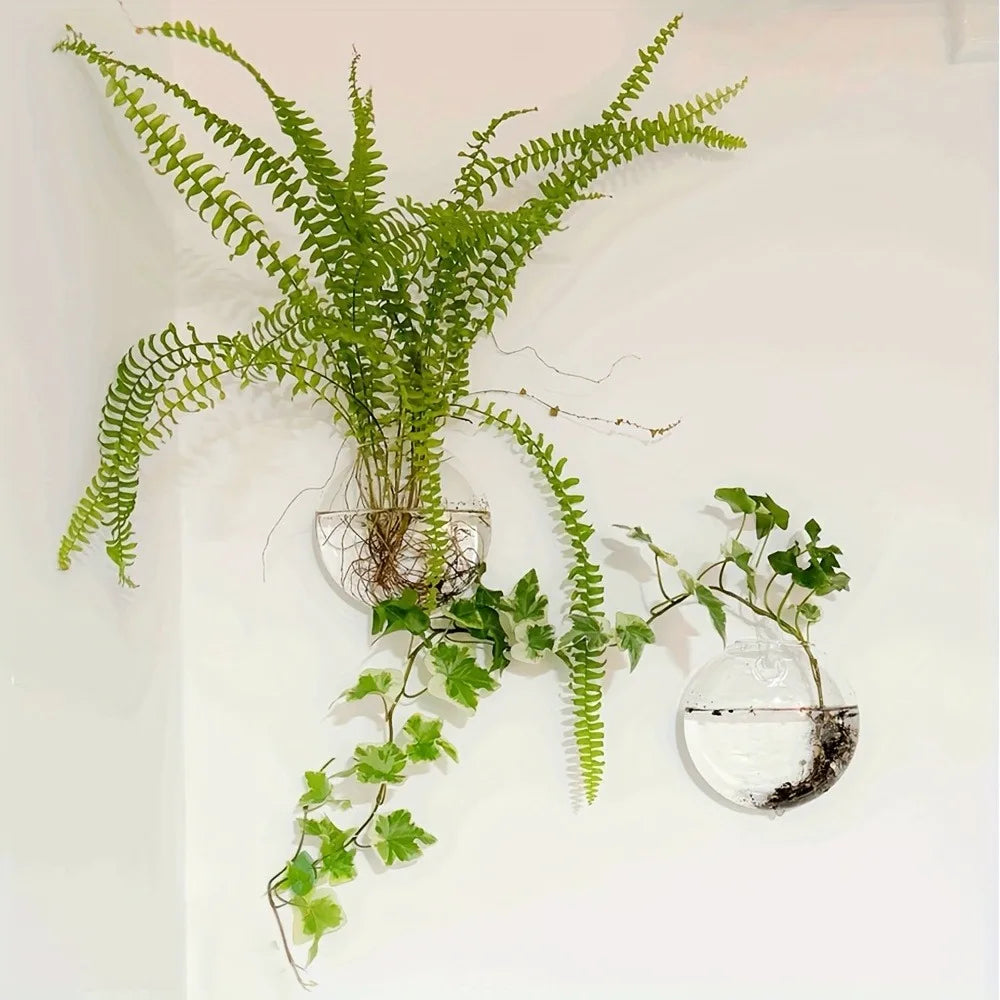 Elegant Wall Hanging Glass Terrarium™