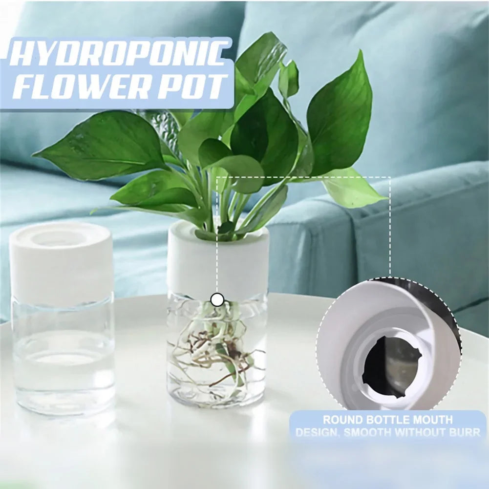 Chic Hydroponic Flower Pott