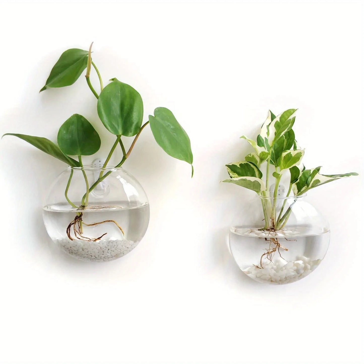 Elegant Wall Hanging Glass Terrarium™