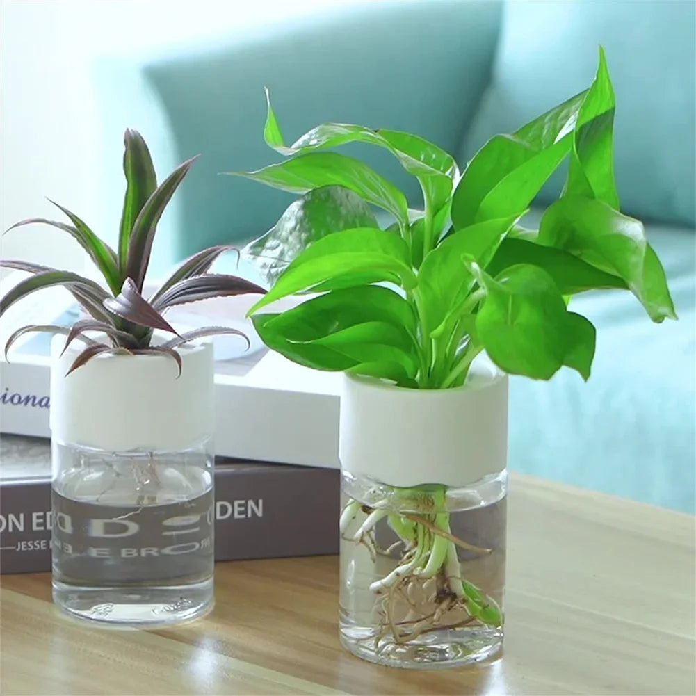 Chic Hydroponic Flower Pott