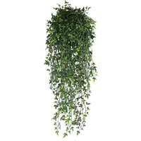 Lush Persian Fern Hanging Vines™