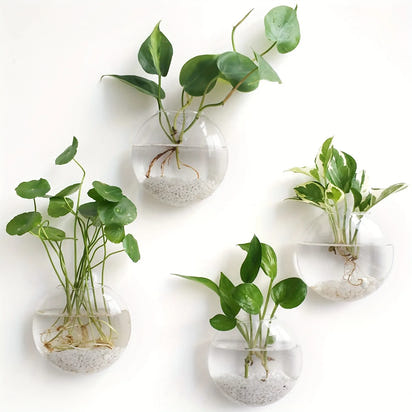 Elegant Wall Hanging Glass Terrarium™