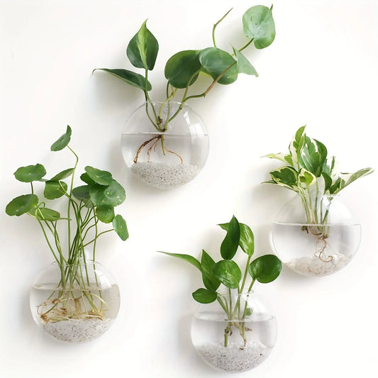 Elegant Wall Hanging Glass Terrarium™