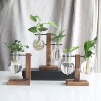 Premium Glass Hydroponic Planter™