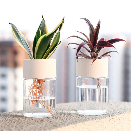 Chic Hydroponic Flower Pott
