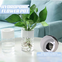 Chic Hydroponic Flower Pott