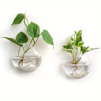 Elegant Wall Hanging Glass Terrarium™