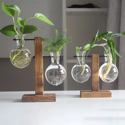 Premium Glass Hydroponic Planter™