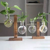 Premium Glass Hydroponic Planter™