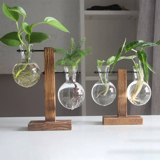 Premium Glass Hydroponic Planter™